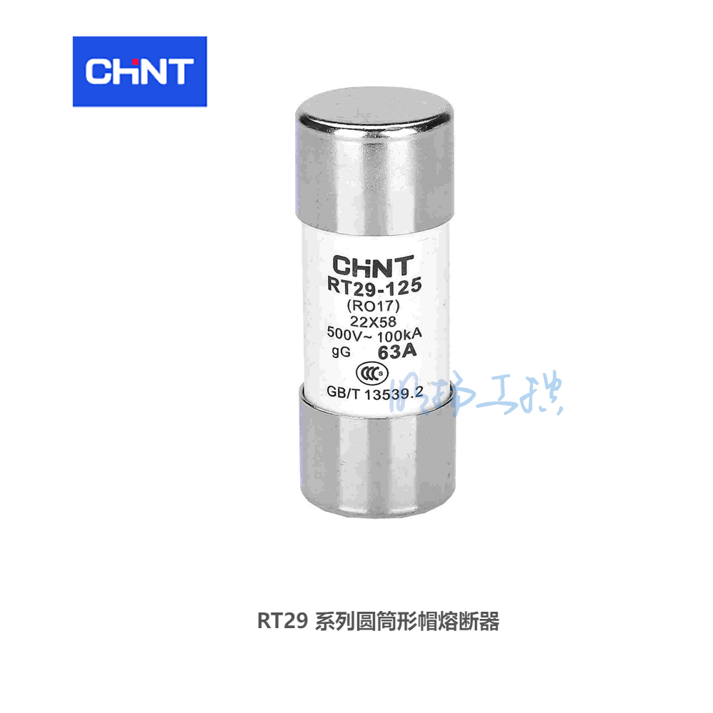 正泰 圆筒形帽熔断器；RT29-125(RO17) 100A 系列：RT29尺寸：22x58mm熔断器额定电流：100A额定电压：AC500V  正泰熔断器  订货号：710280193000100